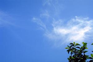 家族葬で大切な人を送り出したいのなら