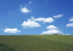 静岡県浜松市に新規オープン！家族葬に最適な直営式場「家族葬のタクセル住吉」の特徴とサービス詳細