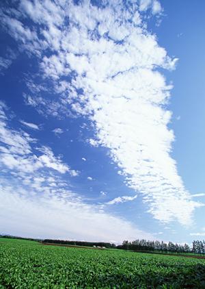 浦和で家族葬を行うにはどこが良いのか