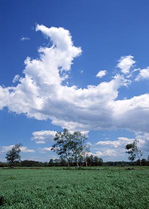 鹿児島の市民の心によりそう家族葬