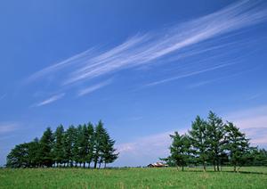 静岡市清水区の家族葬・会館葬儀を安心・丁寧に対応【富士葬祭 双樹】の詳細と特徴解説