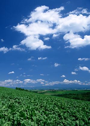 静岡市駿河区の家族葬専門斎場｜家族葬のタクセル大和の詳細と特徴