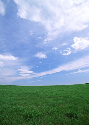 海洋散骨代行を安心して依頼できます