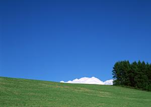 浜松市中央区に位置する富士葬祭 森田町：家族葬や一般葬に最適な葬儀場の詳細と特徴