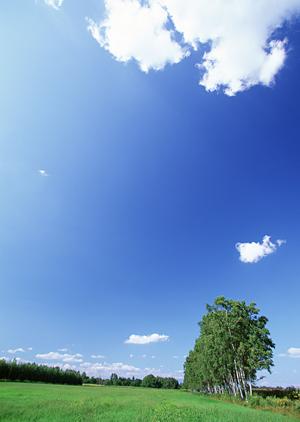 大阪市内でお勧めの納骨堂の費用について