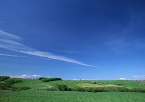酒田市役所の近くにある好立地の墓地