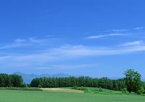 静岡県浜松市中央区の家族葬に最適な斎場「家族葬のタクセル豊町」?2024年6月OPENの新施設紹介