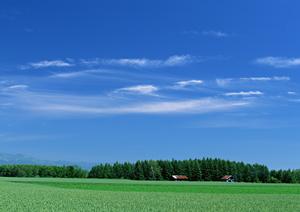 富士宮市田中町の安心できる家族葬・小規模葬儀場【富士葬祭 田中町】の特徴とアクセス情報