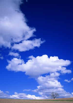 静岡県富士宮市に新オープン！家族葬のタクセル宮原｜安心価格と多様な宗派対応の葬儀場