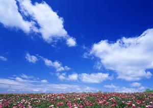 富士市青島の家族葬に最適な小規模葬儀場｜富士葬祭 富士青島の特徴とサービス紹介