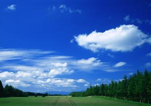 栃木県大田原市の信頼できる葬儀場｜さがみ典礼 大田原若松町の詳細と特徴