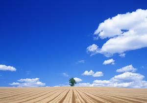 【静岡市清水区の家族葬に最適な斎場】富士葬祭折戸｜上質な空間と信頼のサービスを提供する葬儀場