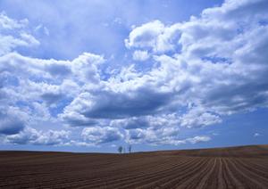 浜松市の家族葬に最適な小規模葬儀場【富士葬祭 小豆餅】の特徴とサービス詳細