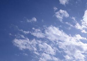 静岡市駿河区に新規オープン！家族葬のタクセル西中原の特徴とサービス内容徹底解剖