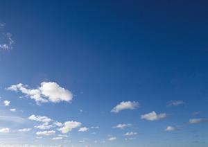 家族葬を所沢市近辺で行うならこちら