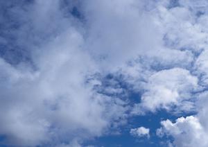 静岡県浜松市中央区に新規オープン！家族葬のタクセル佐鳴台：安心と低価格を実現する家族葬専門斎場