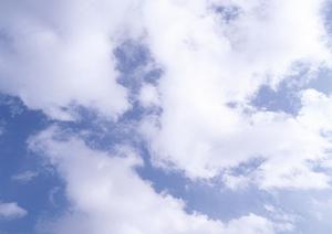 【タイトル例】ビジネスプロフィール最適化で集客力アップ！【成功事例とポイント解説】