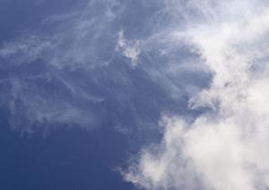 御朱印巡りにもおすすめのお寺です