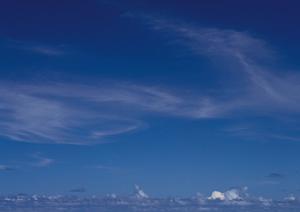 鹿児島で格安の葬儀が行なえます