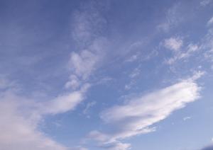 青森で信頼できる葬儀サービスを選ぶための2025年完全ガイド