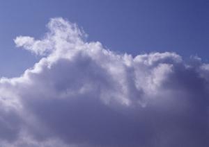 徳島で家族葬をするのならベルベ