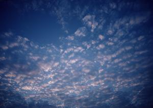 東京の墓地不足を緩和する浄土真宗の寺院