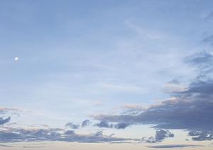 カタログギフトを販売している会社である