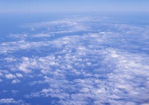 永代供養の金額はいくら？