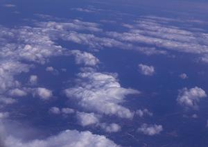 樹木葬の人気とその魅力について